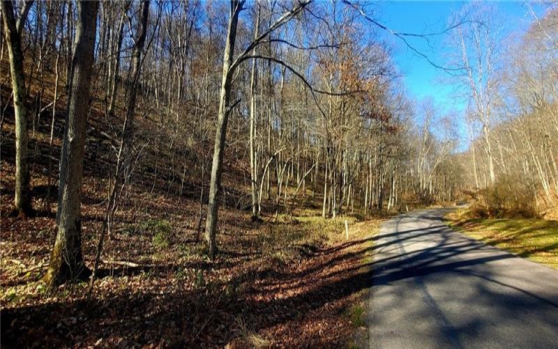 0 Jersey Hollow Rd, Confluence, 15424, ,Farm-acreage-lot,For Sale,No Buildings,Jersey Hollow Rd,1611807