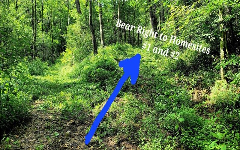 0 Jersey Hollow Rd, Confluence, 15424, ,Farm-acreage-lot,For Sale,No Buildings,Jersey Hollow Rd,1611807