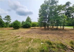 0 Red Brant Rd, Somerset, 15501, ,Farm-acreage-lot,For Sale,Red Brant Rd,1617411