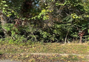 Lot 21 Limba, Lower Burrell, 15068, ,Farm-acreage-lot,For Sale,Limba,1626541