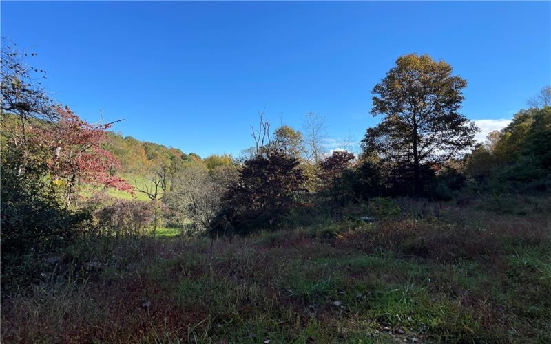 Lot 9 Shag Bark Grove, Murrysville, 15668, ,Farm-acreage-lot,For Sale,None,Shag Bark Grove,1626402