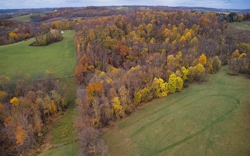 70 Skylark Drive, 15301, 15301, ,Farm-acreage-lot,For Sale,Skylark Drive,1630570