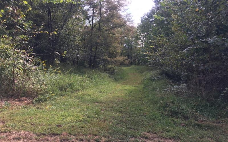 Lot #2 West Mcclain Road, Rostraver Township, 15012, ,Farm-acreage-lot,For Sale,West Mcclain Road,1631349