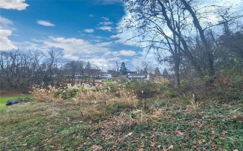 0 Cemetery St, Monessen, 15062, ,Farm-acreage-lot,For Sale,Cemetery St,1633531