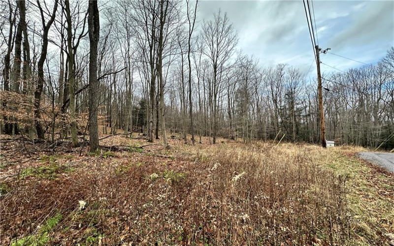 C4 S Peninsula Dr, Central City, 15926, ,Farm-acreage-lot,For Sale,S Peninsula Dr,1634377