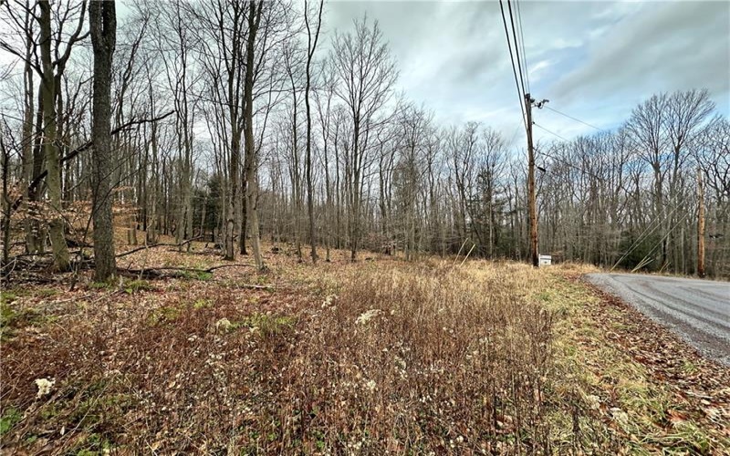 C4 S Peninsula Dr, Central City, 15926, ,Farm-acreage-lot,For Sale,S Peninsula Dr,1634377