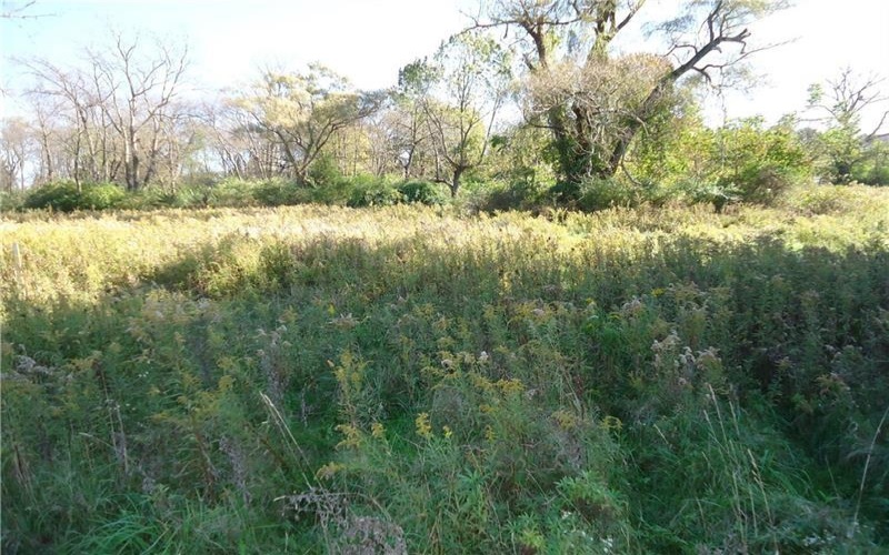 LOT 5 SETTLER ROAD, 15658, 15658, ,Farm-acreage-lot,For Sale,SETTLER ROAD,1635157