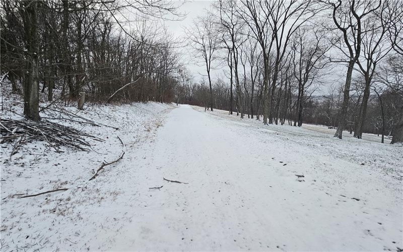 0 Rt 837, Monongahela, 15063, ,Farm-acreage-lot,For Sale,Rt 837,1635806