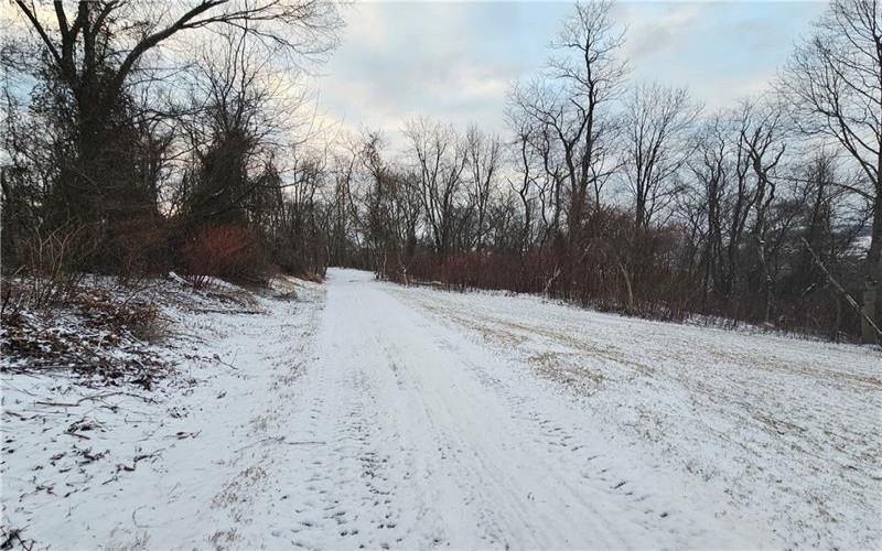 0 Rt 837, Monongahela, 15063, ,Farm-acreage-lot,For Sale,Rt 837,1635806