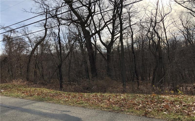 0 Curry Hill Road, Lemont Furnace, 15456, ,Farm-acreage-lot,For Sale,None,Curry Hill Road,1636440