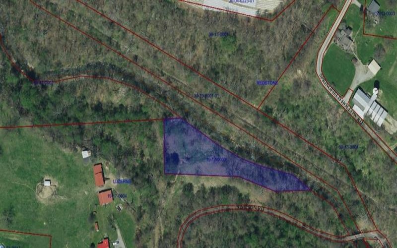 Off Superior St, Brownsville, 15417, ,Farm-acreage-lot,For Sale,Superior St,1637244