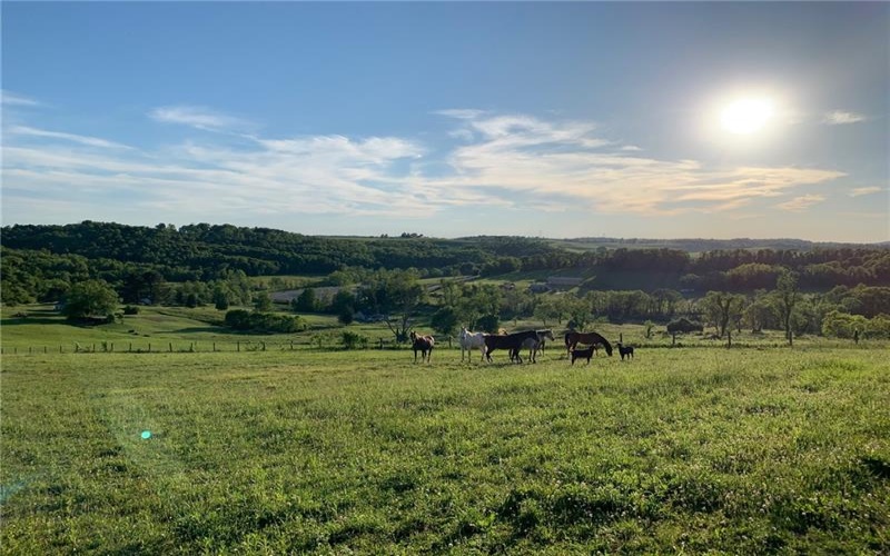 000 Welch Lane, Hickory, 15340, ,Farm-acreage-lot,For Sale,Welch Lane,1638056