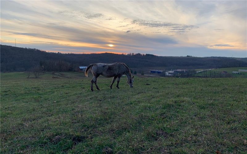 000 Welch Lane, Hickory, 15340, ,Farm-acreage-lot,For Sale,Welch Lane,1638056