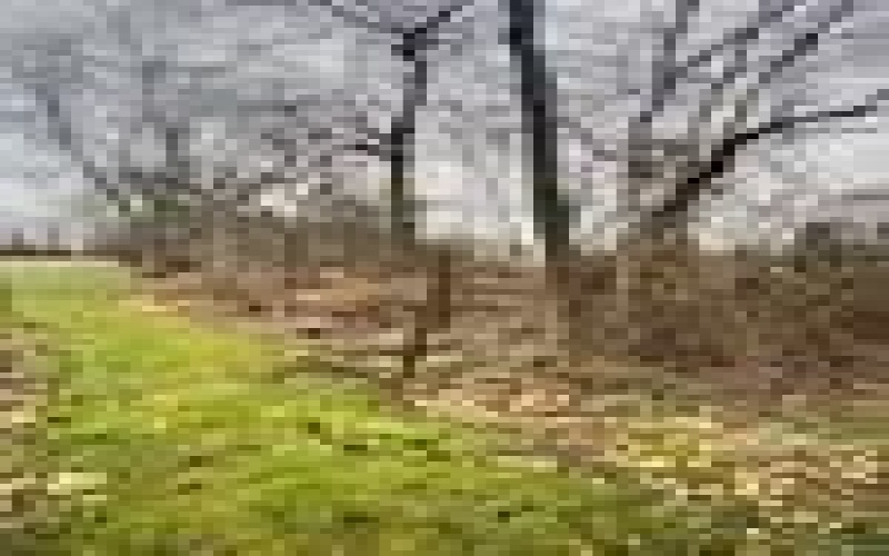 Lot #42 Fern Road, Adamsburg, 15611, ,Farm-acreage-lot,For Sale,Fern Road,1639601