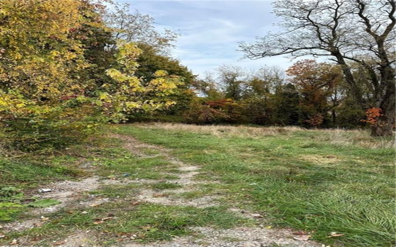 1058 Middletown Road, Greensburg, 15601, ,Farm-acreage-lot,For Sale,Garage,Middletown Road,1639390