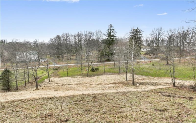 0 Vaneal Rd, Washington, 15301, ,Farm-acreage-lot,For Sale,Vaneal Rd,1639239