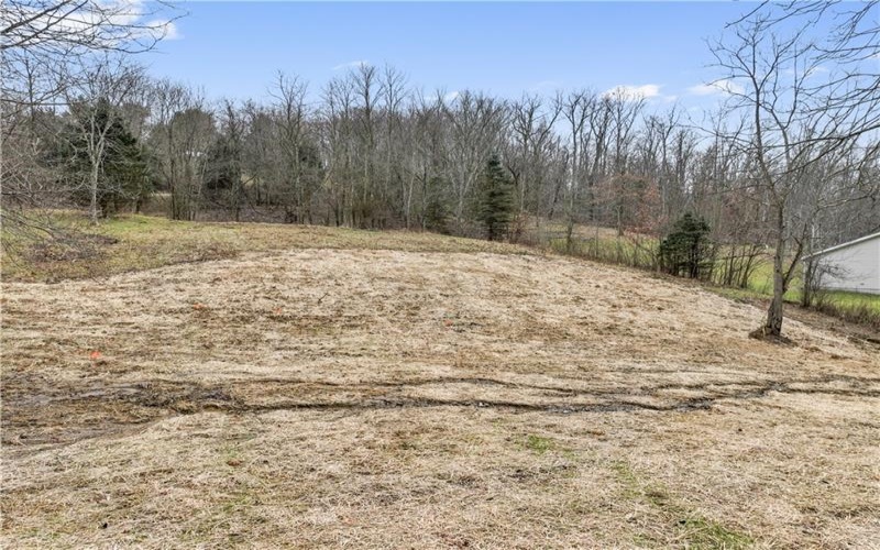 0 Vaneal Rd, Washington, 15301, ,Farm-acreage-lot,For Sale,Vaneal Rd,1639239