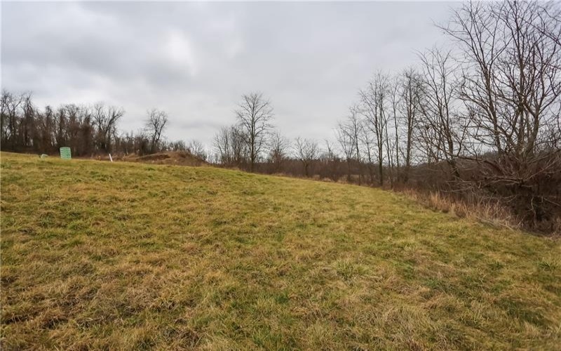 Lot#31 Coblestone Drive, Burgettstown, 15021, ,Farm-acreage-lot,For Sale,Coblestone Drive,1639797