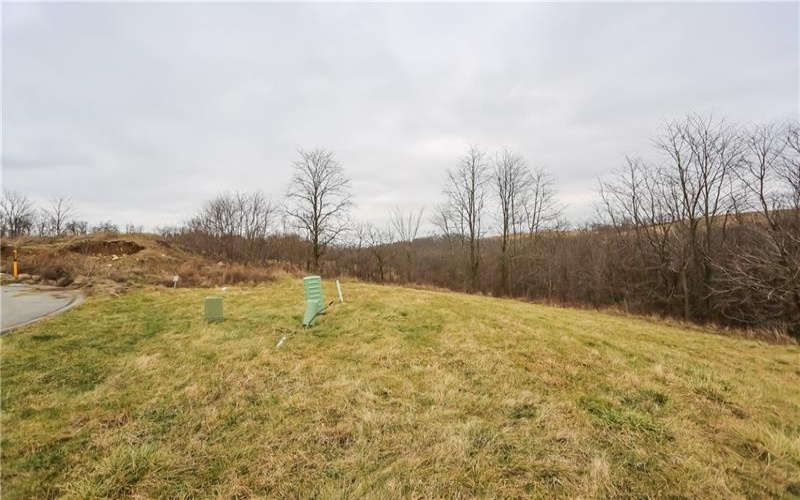 Lot#31 Coblestone Drive, Burgettstown, 15021, ,Farm-acreage-lot,For Sale,Coblestone Drive,1639797