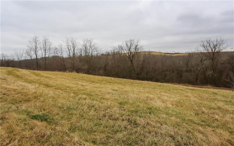 Lot#32 Coblestone Drive, Burgettstown, 15021, ,Farm-acreage-lot,For Sale,Coblestone Drive,1639798