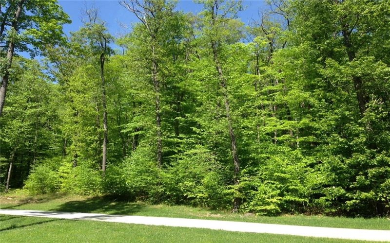 Lot 28 Grouse Point, Champion, 15622, ,Farm-acreage-lot,For Sale,none,Grouse Point,1640250