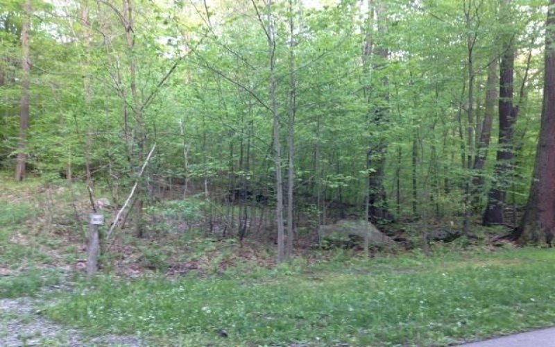 Lot 28 Grouse Point, Champion, 15622, ,Farm-acreage-lot,For Sale,none,Grouse Point,1640250