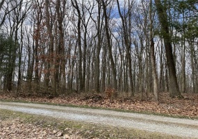 0 Burr Road, Acme, 15610, ,Farm-acreage-lot,For Sale,Burr Road,1640558