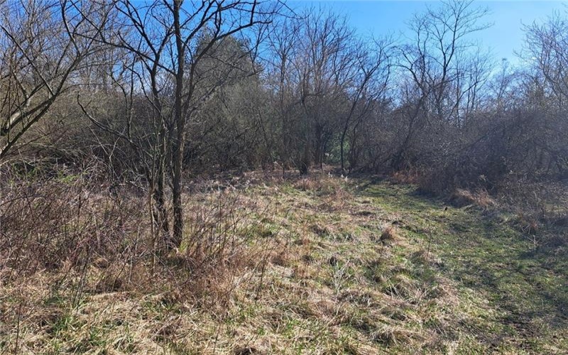 00 Joffrey Cherry Valley Road, Burgettstown, 15053, ,Farm-acreage-lot,For Sale,Joffrey Cherry Valley Road,1640291