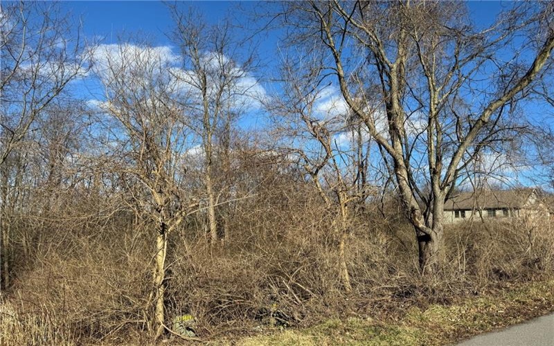 Lot 14 Andrews Avenue, 15627, 15627, ,Farm-acreage-lot,For Sale,Andrews Avenue,1641181