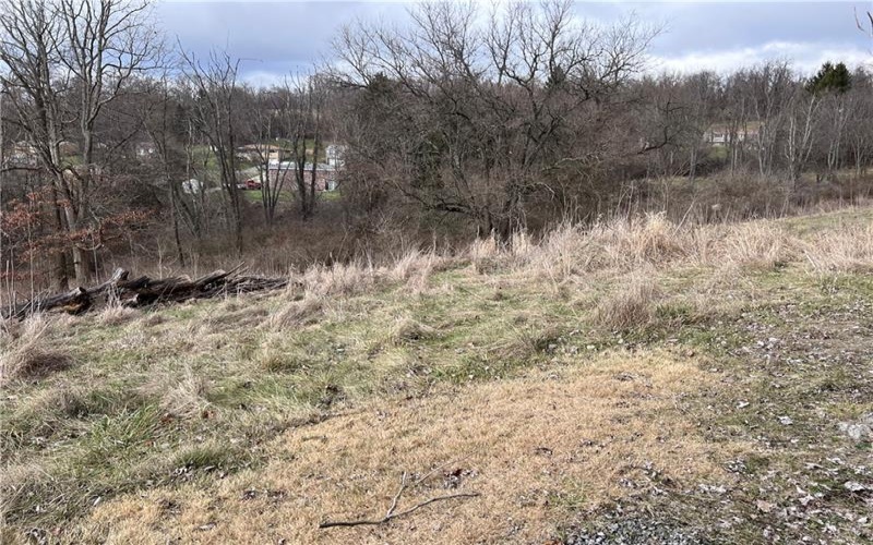 0 Williams Street, Washington, 15301, ,Farm-acreage-lot,For Sale,Williams Street,1641758