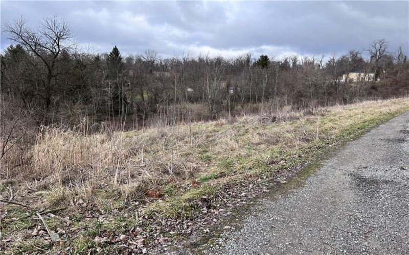 0 Williams Street, Washington, 15301, ,Farm-acreage-lot,For Sale,Williams Street,1641758