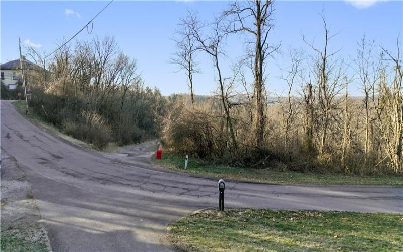 0 Williams Street, Washington, 15301, ,Farm-acreage-lot,For Sale,Williams Street,1641758