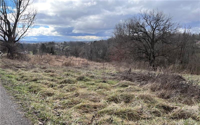 0 Williams Street, Washington, 15301, ,Farm-acreage-lot,For Sale,Williams Street,1641758