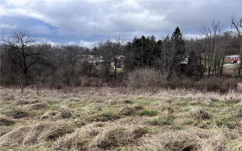 0 Williams Street, Washington, 15301, ,Farm-acreage-lot,For Sale,Williams Street,1641758