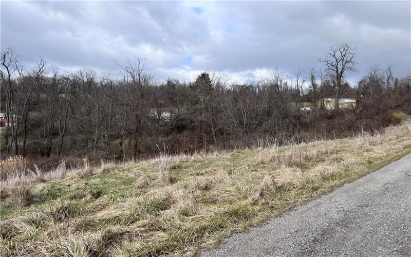 0 Williams Street, Washington, 15301, ,Farm-acreage-lot,For Sale,Williams Street,1641758