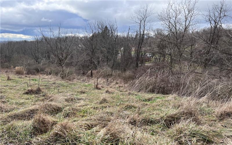 0 Williams Street, Washington, 15301, ,Farm-acreage-lot,For Sale,Williams Street,1641758