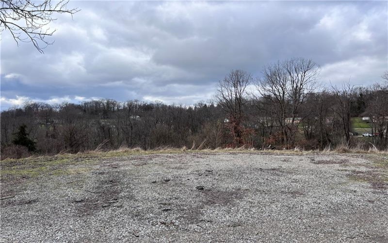 0 Williams Street, Washington, 15301, ,Farm-acreage-lot,For Sale,Williams Street,1641758