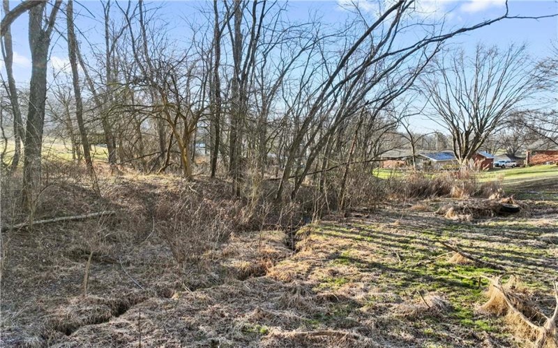 0 Williams Street, Washington, 15301, ,Farm-acreage-lot,For Sale,Williams Street,1641758