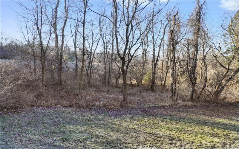 0 Williams Street, Washington, 15301, ,Farm-acreage-lot,For Sale,Williams Street,1641758