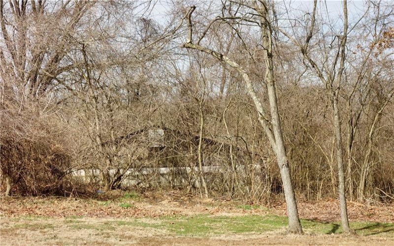 355 Locust Avenue, Washington, 15301, ,Farm-acreage-lot,For Sale,Locust Avenue,1642056