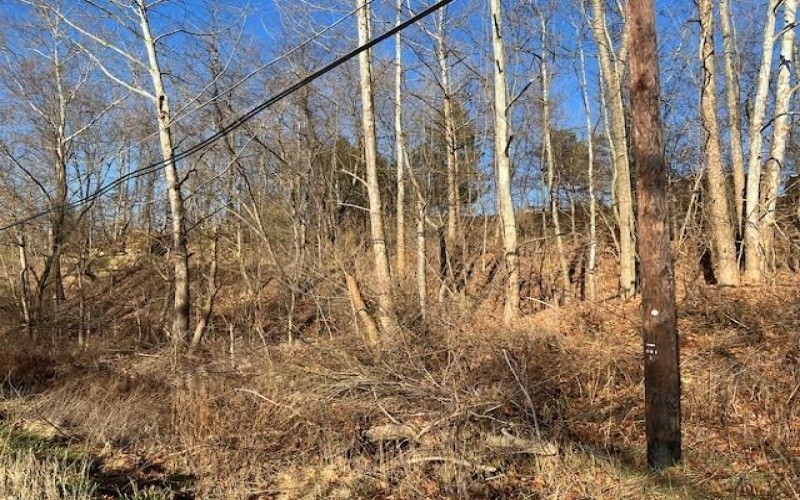 Lot #2 Route 56, New Kensington, 15068, ,Farm-acreage-lot,For Sale,Route 56,1642874