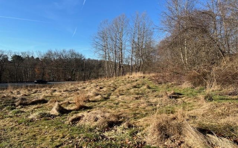 Lot #2 Route 56, New Kensington, 15068, ,Farm-acreage-lot,For Sale,Route 56,1642874