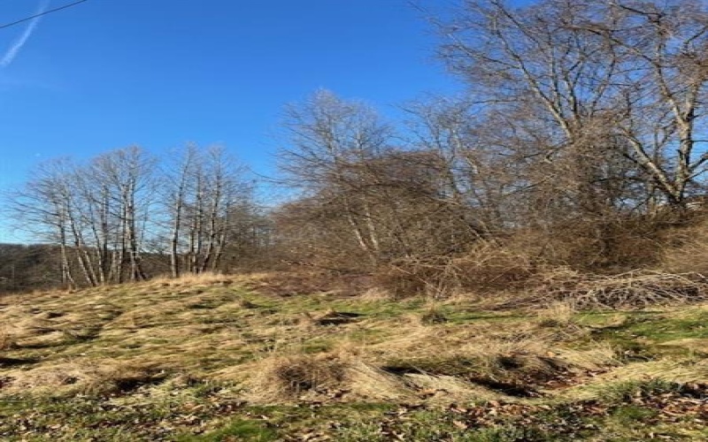 Lot #2 Route 56, New Kensington, 15068, ,Farm-acreage-lot,For Sale,Route 56,1642874