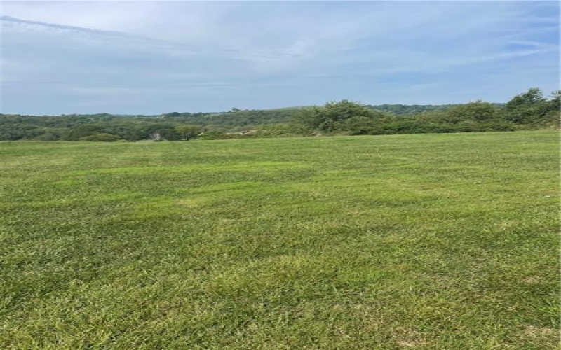 355 Old Hickory Ridge Road, Washington, 15342, ,Farm-acreage-lot,For Sale,Old Hickory Ridge Road,1645332