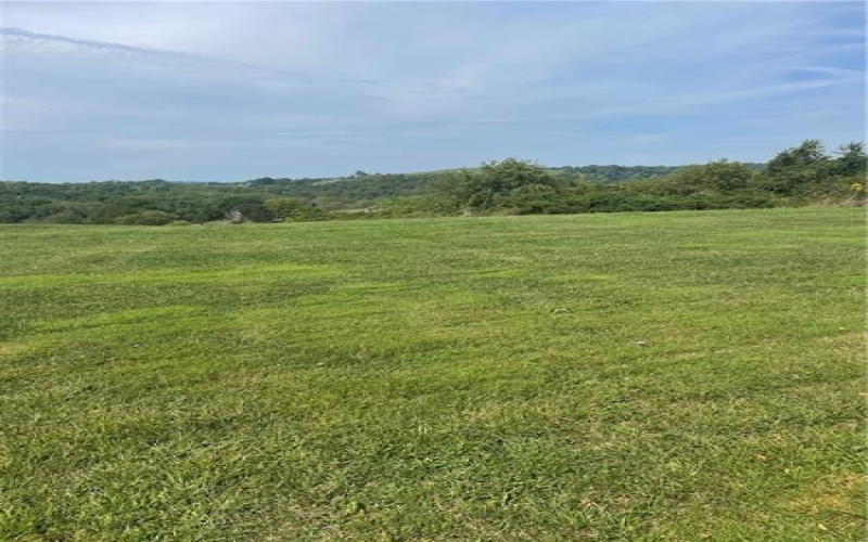 355 Old Hickory Ridge Road, Washington, 15342, ,Farm-acreage-lot,For Sale,Old Hickory Ridge Road,1645332