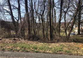 Lot BRADDOCK, Irwin, 15642, ,Farm-acreage-lot,For Sale,na,BRADDOCK,1645265