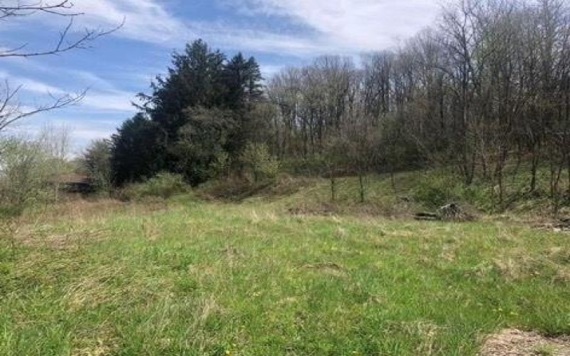 0 Highland Avenue Extension, Burgettstown, 15021, ,Farm-acreage-lot,For Sale,Highland Avenue Extension,1639799