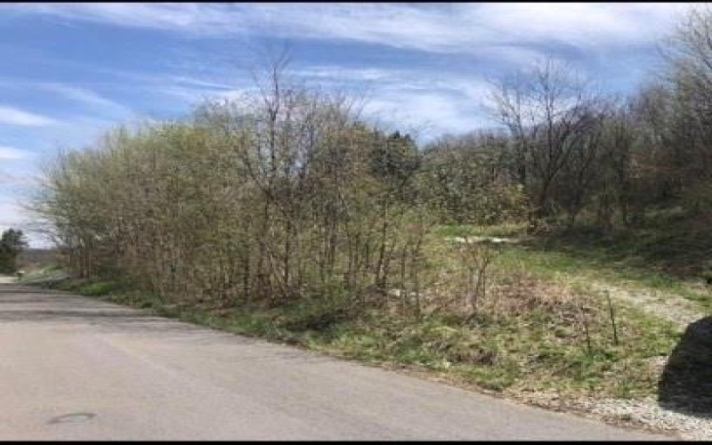 0 Highland Avenue Extension, Burgettstown, 15021, ,Farm-acreage-lot,For Sale,Highland Avenue Extension,1639799