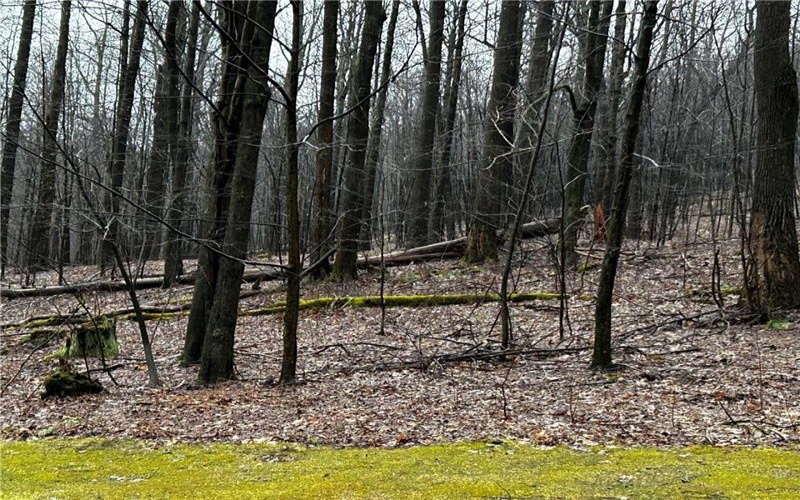 Lot 20 Pheasant Run Ln, Champion, 15622, ,Farm-acreage-lot,For Sale,Pheasant Run Ln,1647336