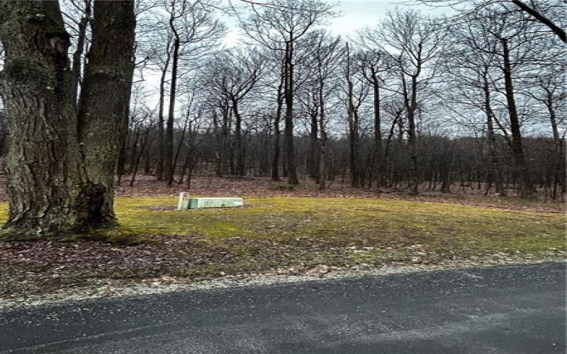 Lot 20 Pheasant Run Ln, Champion, 15622, ,Farm-acreage-lot,For Sale,Pheasant Run Ln,1647336